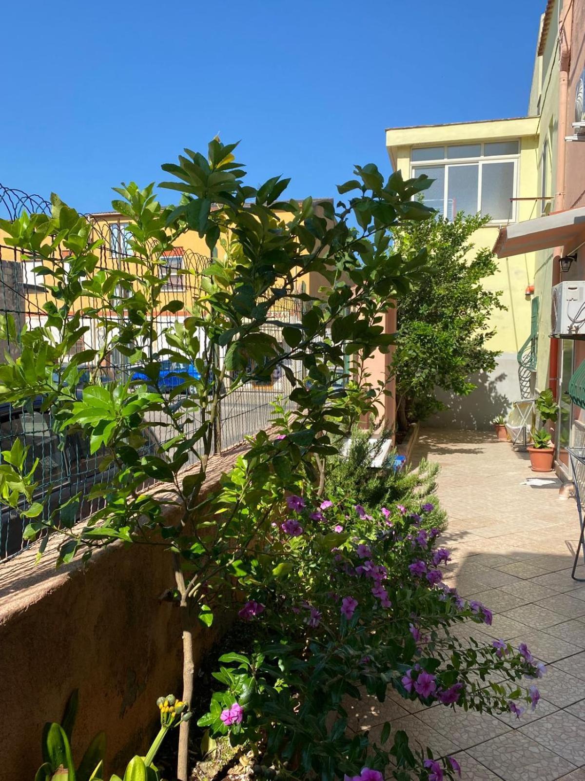 Lemon House Daire Sassari Dış mekan fotoğraf